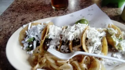 Easy to go tacos #5, business photo 4